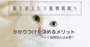 粉末でも煮汁でも猫や犬が食べてはいけない危険な タマ ネギ中毒 ねこマナ部